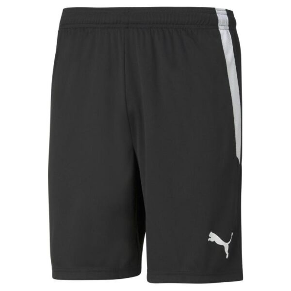 Puma Puma TeamLIGA Shorts Jr 704931 Corner Sport 1