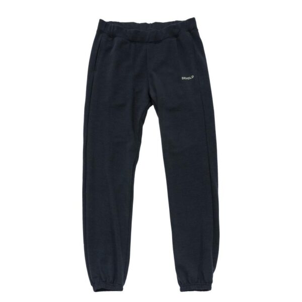 Devold Devold Everyday Pants Man GO 262 170 A Corner Sport 1